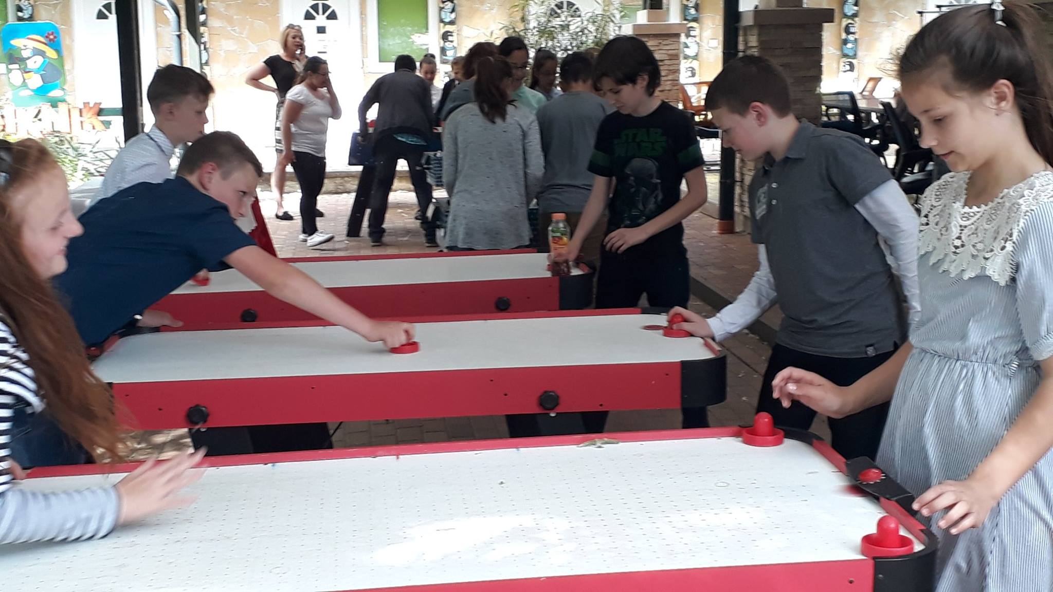 4373883_5016366886552600576_o